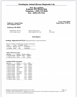 WADDL test results