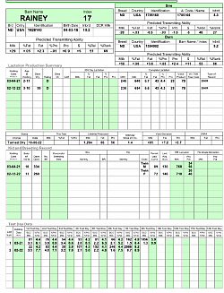 Rainey Doe Sheet