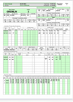 Gremlin Doe Sheet