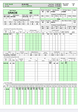 Gracie Doe Sheet