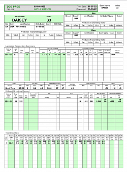 Daisey Mae Doe Sheet