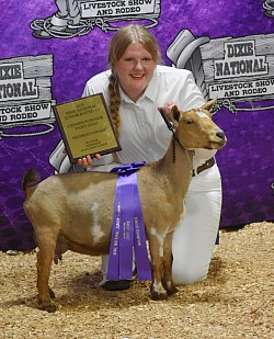 Punkin. Grand champion Nigerian