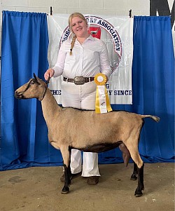 Patchouli brought home our first ADGA ribbon