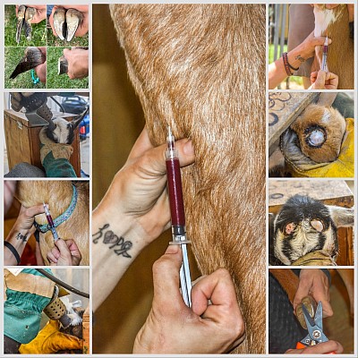 Some of our past jobs