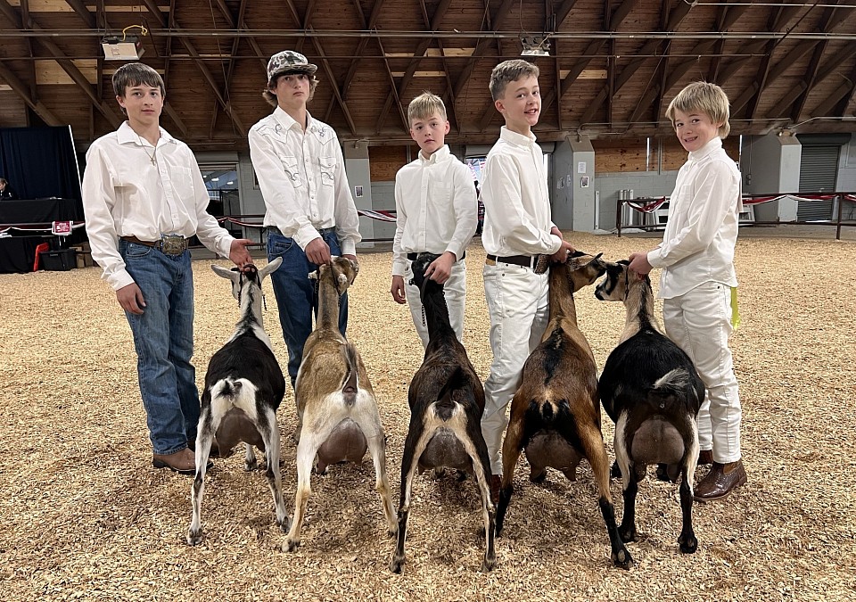 2026 Commercial does (3rd place county herd)